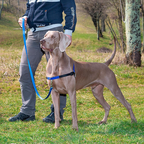 Шлейка Ferplast Coach P L Harness Blue для дресирування, A: 33x43 см, B: 64x91 см