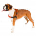 Шлейка Ferplast Coach P M Harness Orange для дресирування, A: 20x26 см, B: 42x59 см