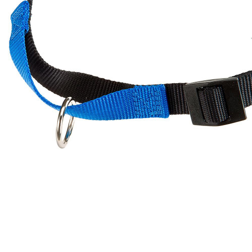 Шлейка Ferplast Coach P M-L Harness Blue для дресирування, A: 20x26 см, B: 42x59 см