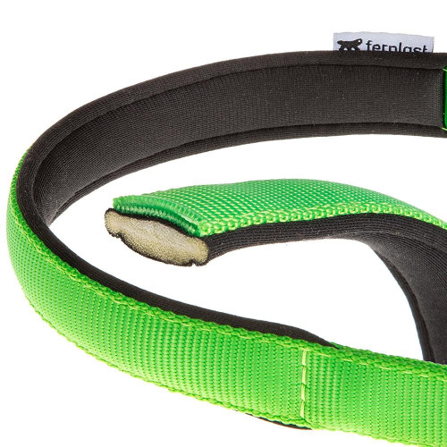 Нейлоновий нашийник Ferplast Daytona C20 / 43 Green для собак, зелений, A: 35x43 см, B: 20 ​​мм