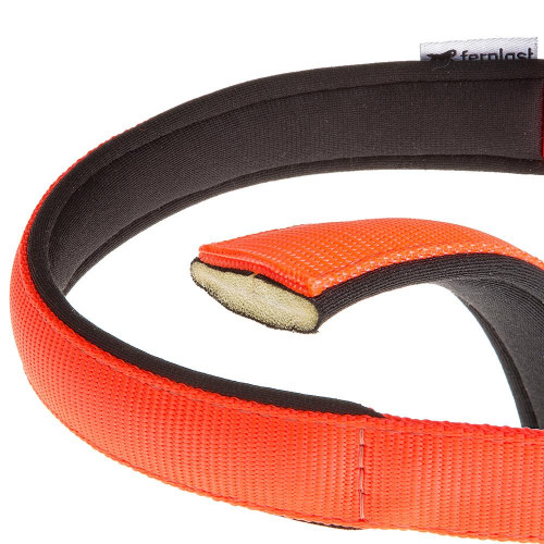 Нейлоновий нашийник Ferplast Daytona C25 / 45 Orange для собак, помаранчевий, A: 37x45 см, B: 25 мм