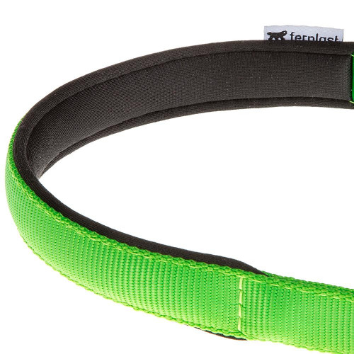 Нейлоновий нашийник з металевим ланцюжком Ferplast Daytona CSS20 / 55 Green для собак, A: 55 см, B: 20 ​​см
