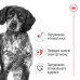 Сухий корм Royal Canin Medium Adult для дорослих собак середніх порід, 3.2 кг + 800 г