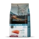Сухий корм Bravery Salmon Adult Cat Sterilized, для котів, з лососем, 2 кг