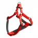 Нейлонова шлейки Ferplast Daytona P Harness Medium Red для собак, A: 51 ÷ 55 см, B: 53 ÷ 61 см