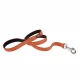 Нейлоновий поводок Ferplast Dual G25 / 110 Colours Orange для собак, 25 мм, 110 см