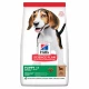 Сухий корм Hill's Science  Plan Puppy Medium для цуценят, з ягням і рисом, 2.5 кг