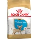 Сухой корм Royal Canin Chihuahua Puppy для щенка чихуахуа, 500 г