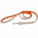 Поводок Coastal Pet Attire Ribbon для собак, разноцветный, 1.6×1.2 м