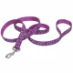 Поводок Coastal Pet Attire Ribbon для собак, орхидея букет, 1.6×1.2 м