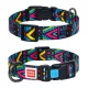 Ошейник Waudog Nylon с рисунком "Инди" ширина 20 мм, длина 24-40 см