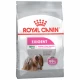Сухой корм Royal Canin Mini Exigent для привередливых собак мелких пород, 3 кг