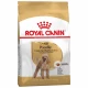 Сухой корм Royal Canin Poodle Adult для пуделей, 500 г