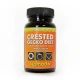 Корм для геконов Komodo Advanced Gecko Diet, 75 г
