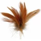 Змінна іграшка для Trixie Feather Hider, для кішок, 2 шт