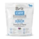 Сухой корм Brit Care GF Junior Large Breed Salmon & Potato, для щенков гигантских пород, 1 кг