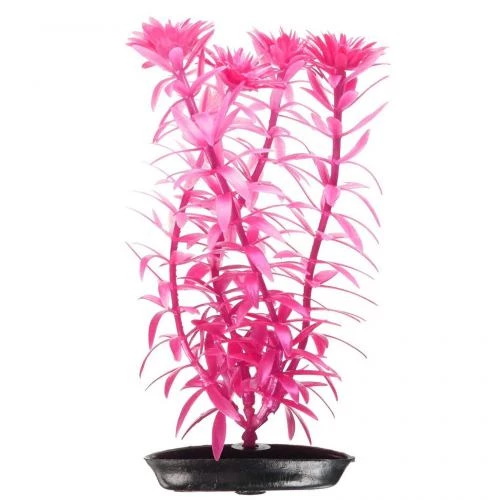 Декорация Hagen Anacharis Pink-Red, растение пластиковое, 13 см