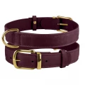 Нашийник BronzeDog Crazy, для собак, шкіряний, бордовий, 27-36×1.5 см