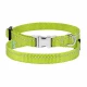 Ошейник BronzeDog Active, для собак и кошек, нейлоновый, фастекс хром, салатовый, 18-28×1 см
