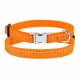 Ошейник BronzeDog Active, для собак и кошек, нейлоновый, фастекс хром, оранжевый, 18-28×1 см