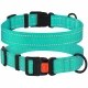 Ошейник BronzeDog Active, для собак, нейлоновый, фастекс пластик, бирюзовый, 35-53×2.5 см