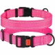 Нашийник BronzeDog Active, для собак, нейлоновий, фастекс пластик, рожевий, 30-40×2 см