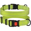 Нашийник BronzeDog Active, для собак, нейлоновий, фастекс пластик, салатовий, 43-66×2.5 см