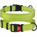 Нашийник BronzeDog Active, для собак, нейлоновий, фастекс пластик, салатовий, 43-66×2.5 см