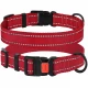 Нашийник BronzeDog Active, для собак, нейлоновий, фастекс пластик, червоний, 25-33×1.6 см