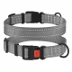 Нашийник BronzeDog Active, для собак, нейлоновий, фастекс пластик, сірий, 35-53×2.5 см