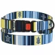 Ошейник BronzeDog Urban West, для собак, нейлоновый, фастекс пластиковый, синий, 25-33×1.6 см