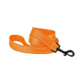 Поводок BronzeDog Active для собак, светоотражающий нейлон, оранжевый, 152×2 см