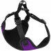 Шлея BronzeDog Sport для собак из неопрена, фиолетовый, 35-38 см