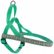 Шлея Coastal Ribbon Weave Harness для собак, темно-бірюзовий з кісточками, 55-71×2.5 см