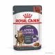 Влажный корм Royal Canin Appetite Control Care кусочки в соусе, для стерилизованных кошек, 85 г