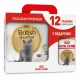 Сухой корм Royal Canin British Shorthair Adult для британских короткошёрстных кошек, 4 кг + 12 паучей в подарок