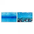 Двусторонний аквариумный фон Ferplast BLU 9041 Background с рисунком растения/кораллы, 60x40 см